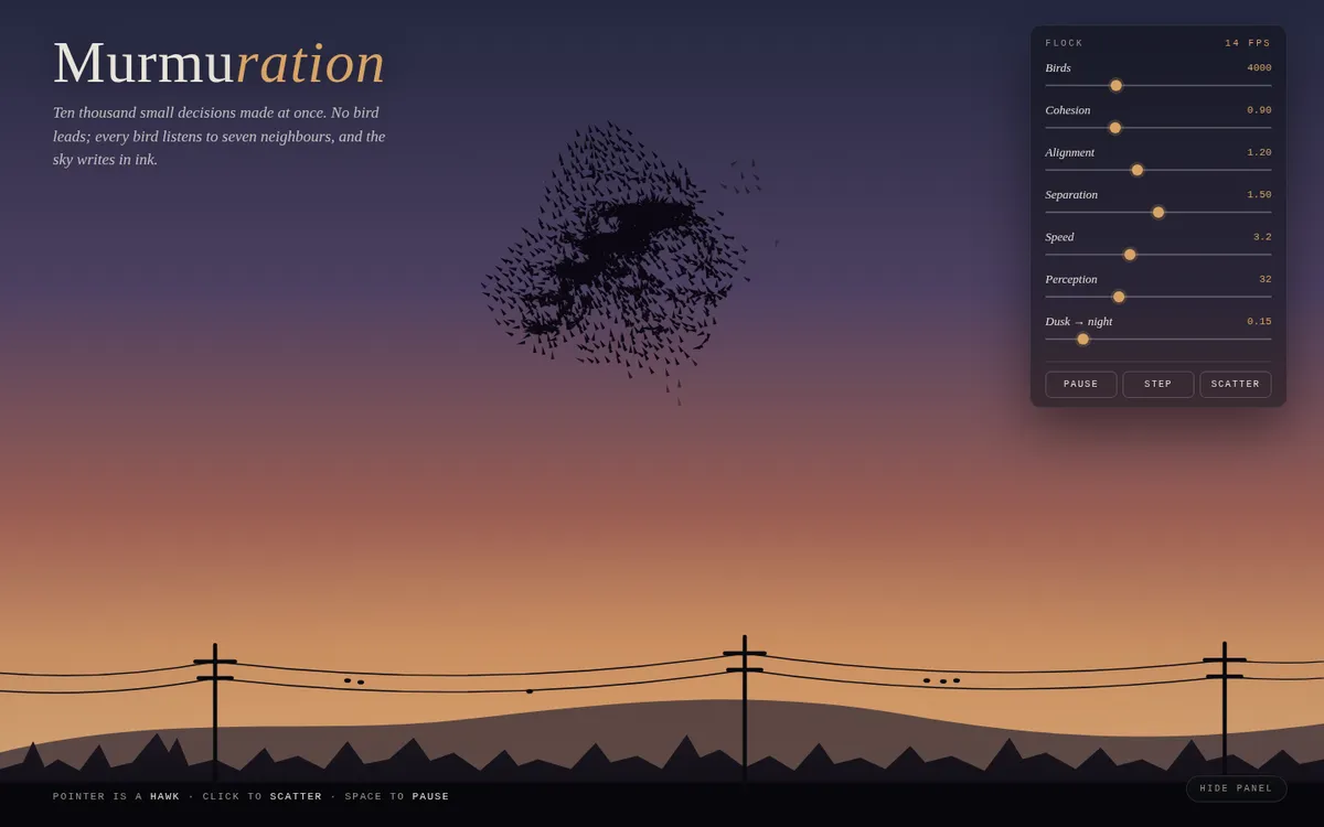 Notion image
